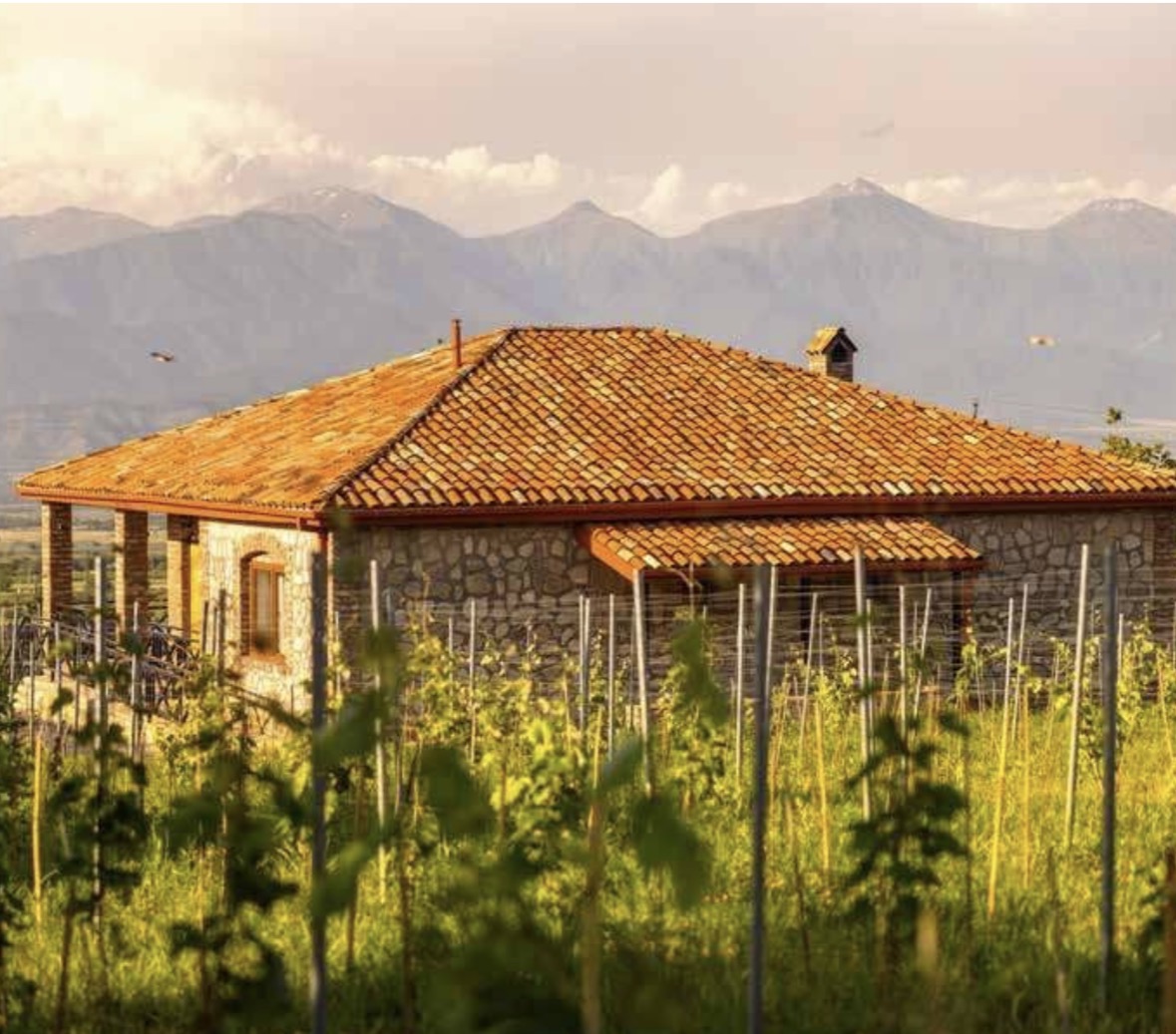 Вилла в Телави, Грузия, 208 м² - фото 11