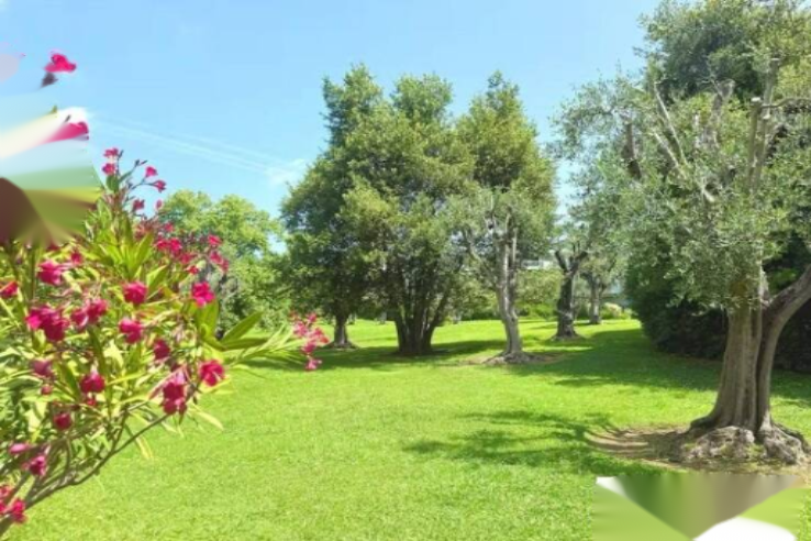 Квартира в Каннах, Франция, 37 м² - фото 1