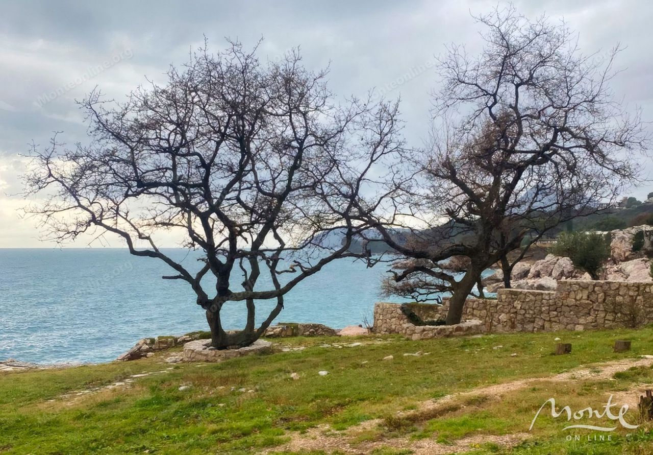 Земля в Баре, Черногория, 2 600 м² - фото 1