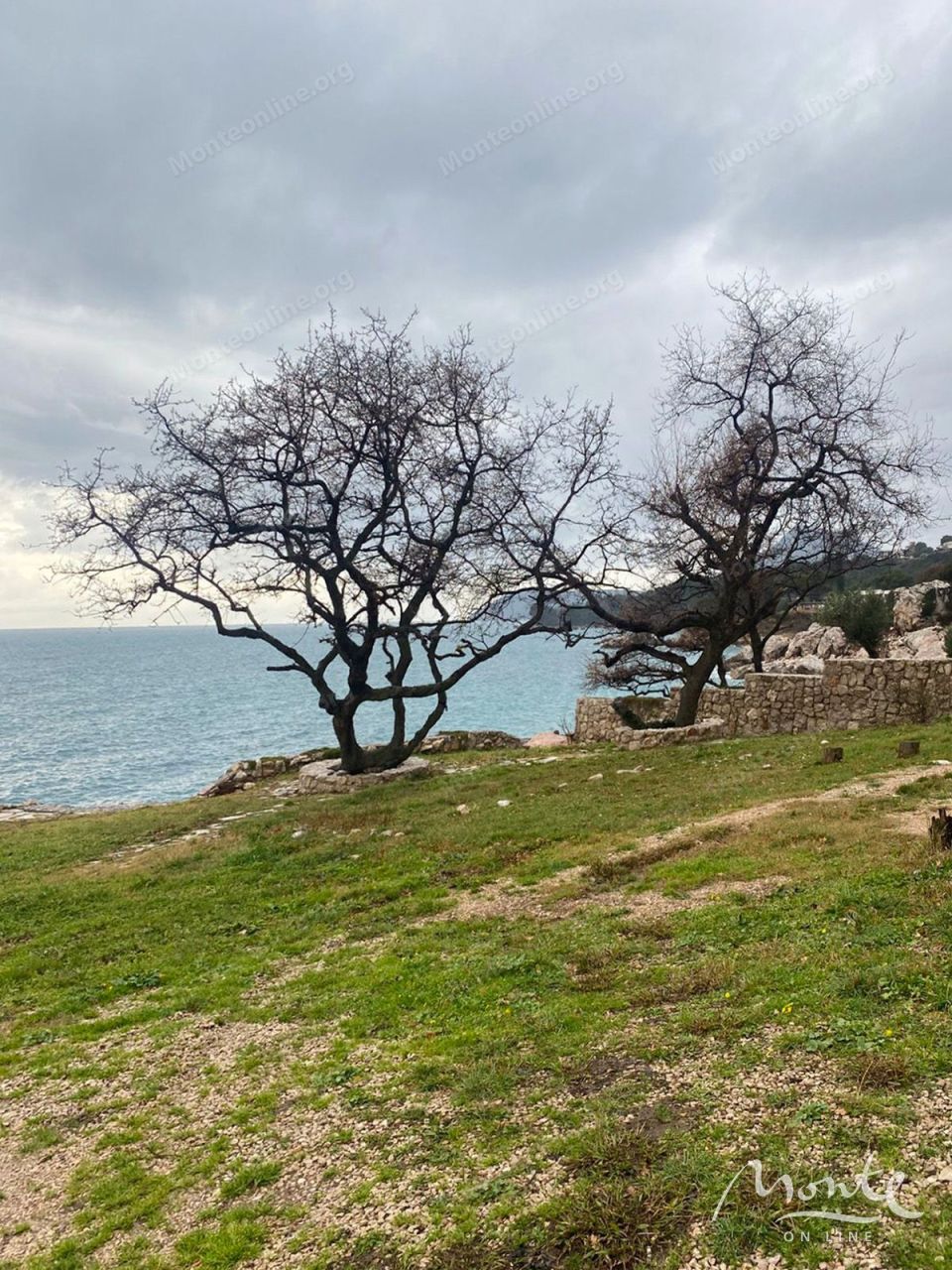 Земля в Баре, Черногория, 2 600 м² - фото 5