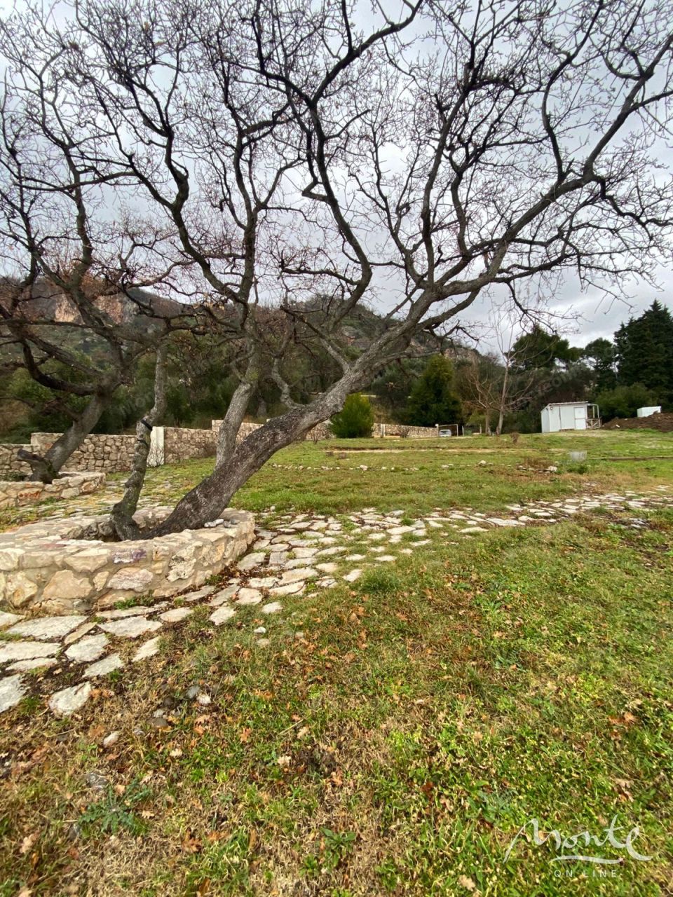 Земля в Баре, Черногория, 2 600 м² - фото 7