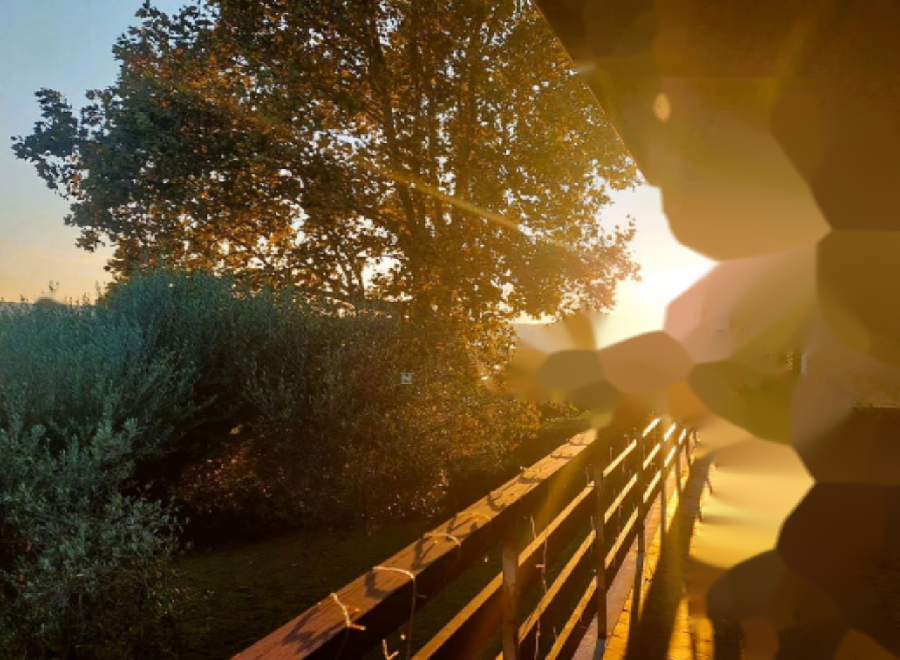 Дом в Портороже, Словения, 306 м² - фото 3