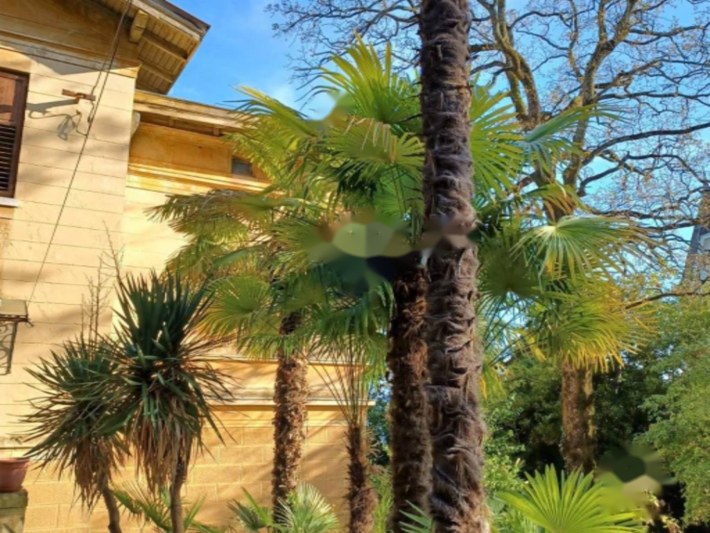 Квартира в Опатии, Хорватия, 294 м² - фото 6