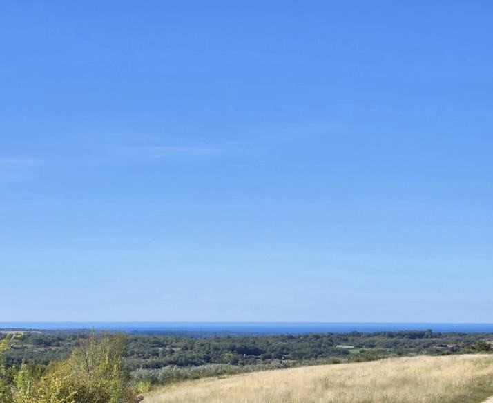 Дом в Буйе, Хорватия, 250 м² - фото 3