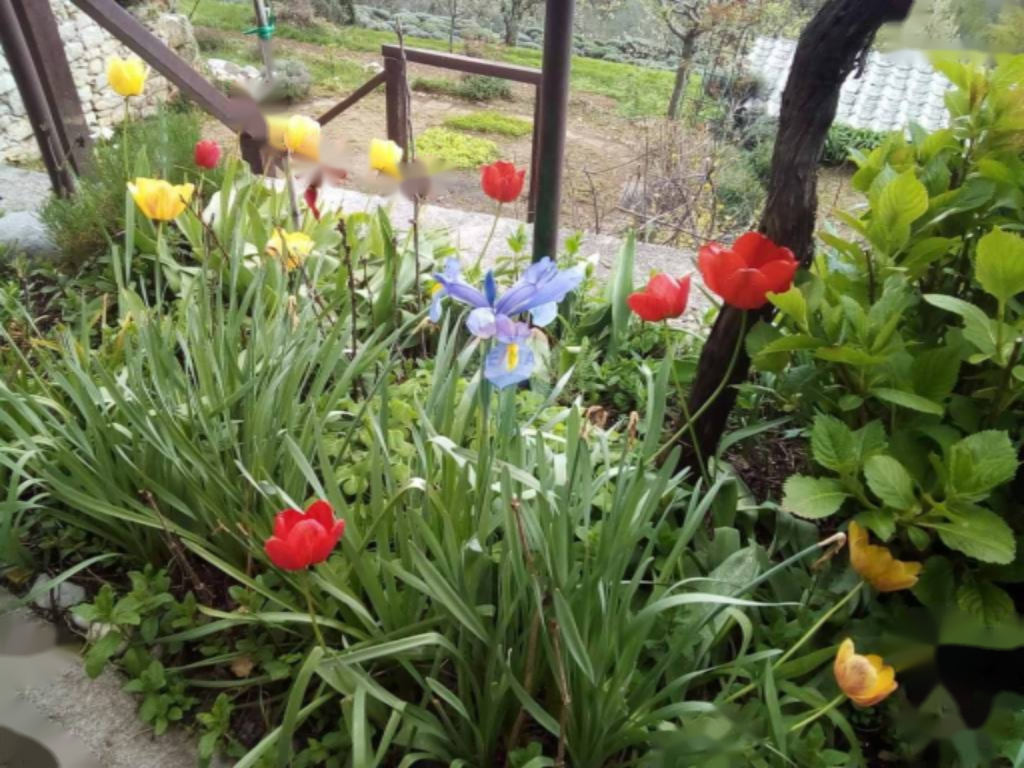 Дом в Опатии, Хорватия, 230 м² - фото 15