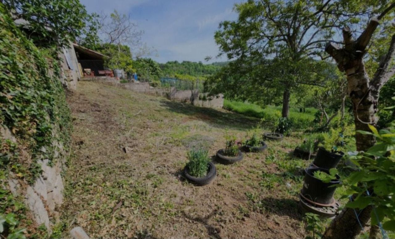 Дом в Бузете, Хорватия, 20 м² - фото 3