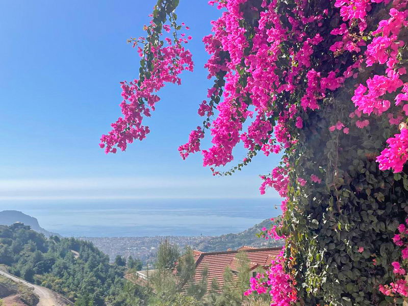 Вилла в Алании, Турция, 390 м² - фото 5