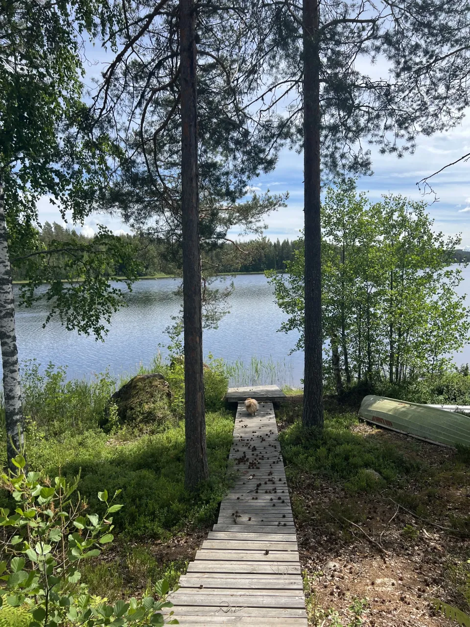 Коттедж в Юва, Финляндия, 71 м² - фото 4