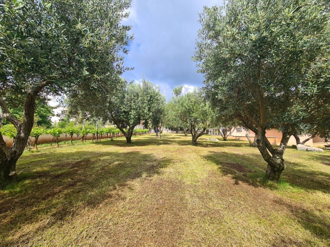 Дом в Марчане, Хорватия, 200 м² - фото 4