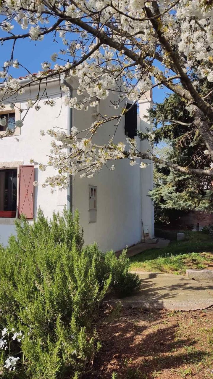 Дом в Пуле, Хорватия, 110 м² - фото 5