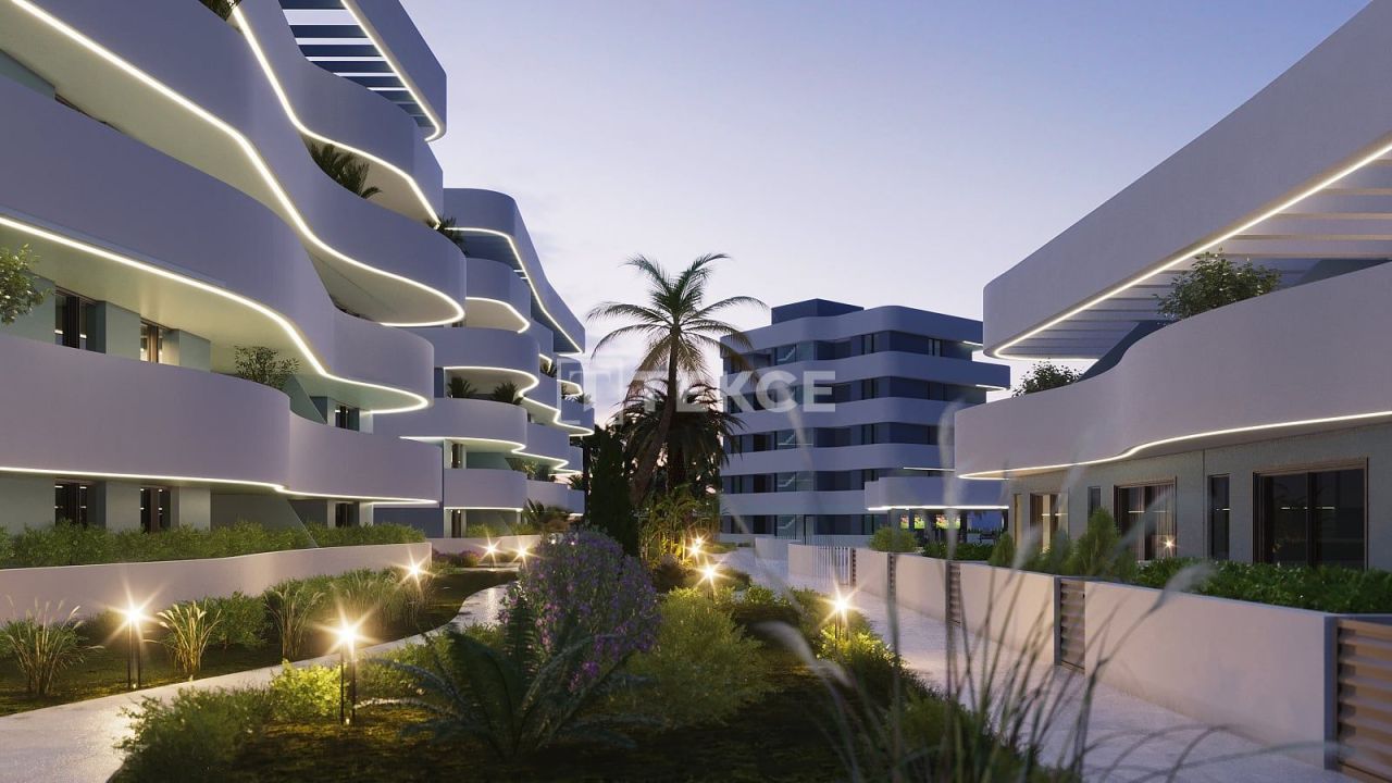 Пентхаус в Гуардамар-дель-Сегура, Испания, 85 м² - фото 14