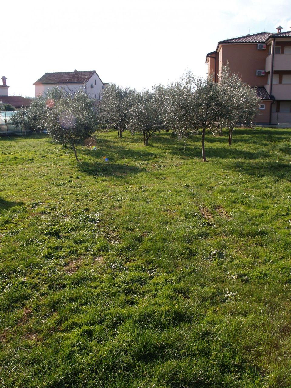 Офис в Лижняне, Хорватия, 366 м² - фото 5