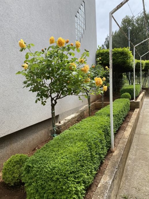 Дом в Пуле, Хорватия, 212 м² - фото 6