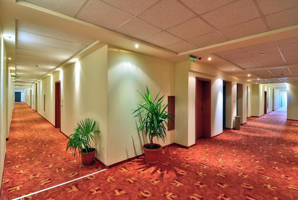 Студия на Золотых Песках, Болгария, 63 м² - фото 4