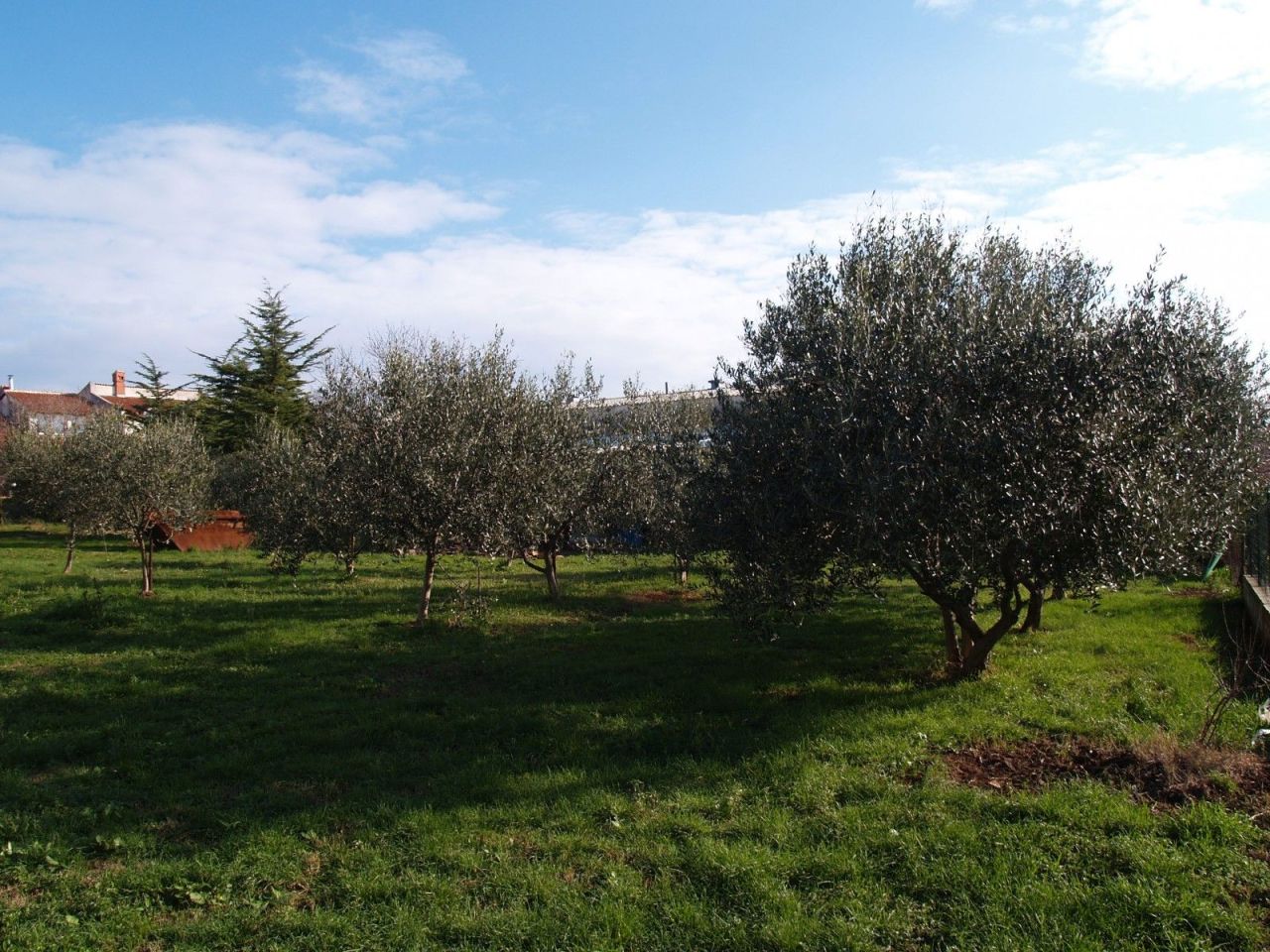 Офис в Лижняне, Хорватия, 366 м² - фото 7