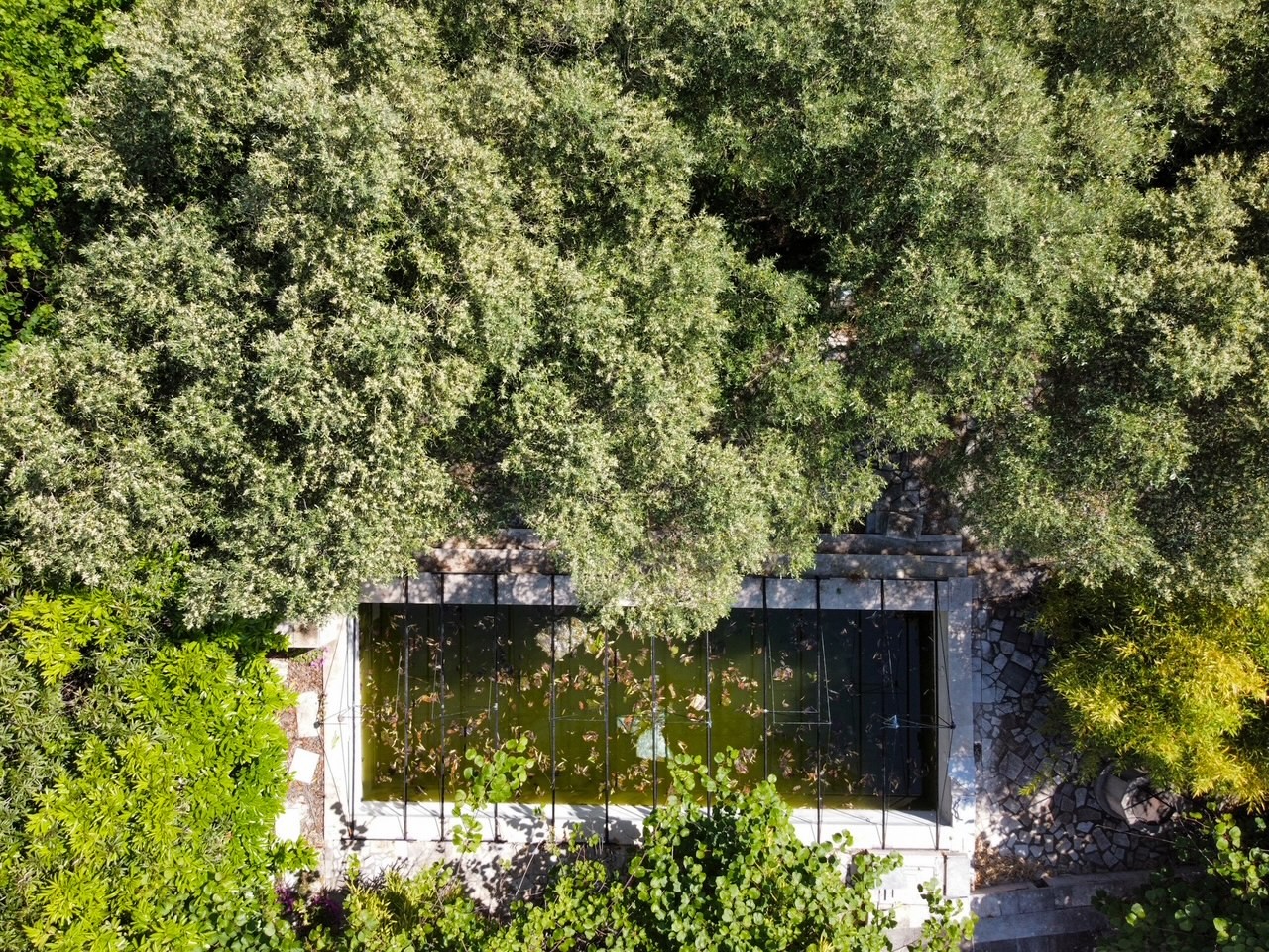 Дом в Медулине, Хорватия, 450 м² - фото 7