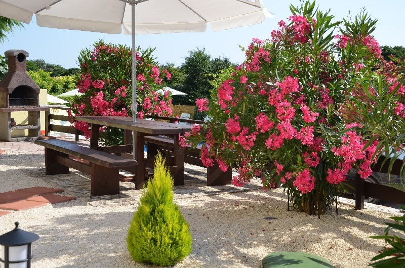 Дом в Медулине, Хорватия, 600 м² - фото 7