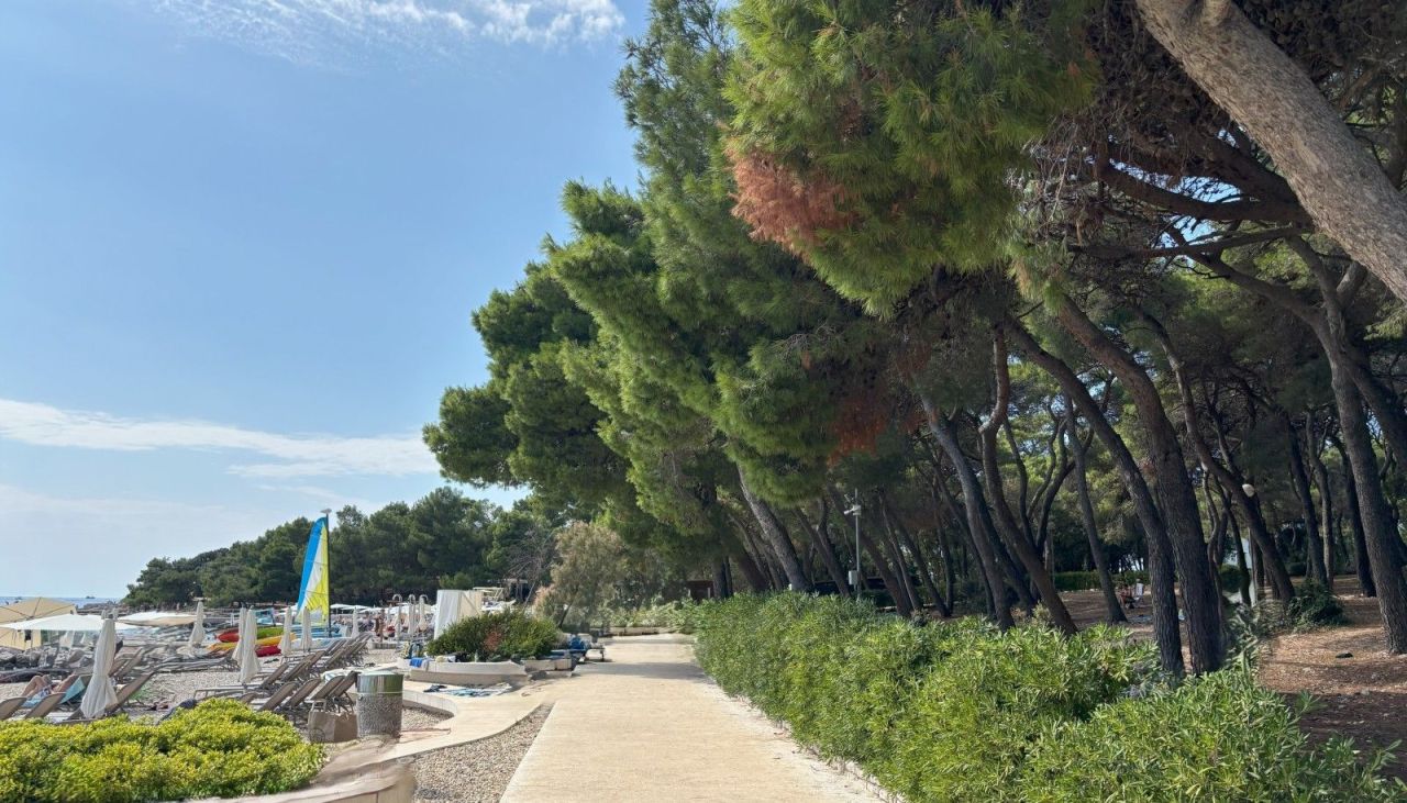 Квартира в Ровини, Хорватия, 149.5 м² - фото 8