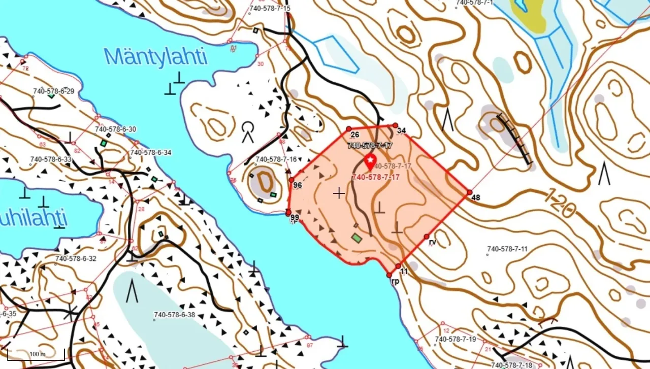 Коттедж в Савонлинне, Финляндия, 120 м² - фото 4