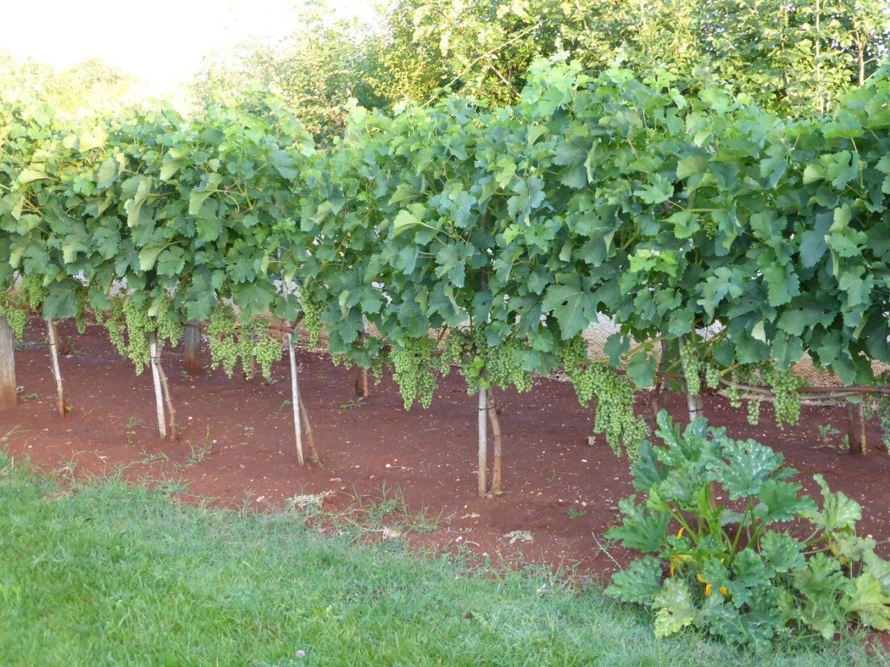 Дом в Марчане, Хорватия, 120 м² - фото 9