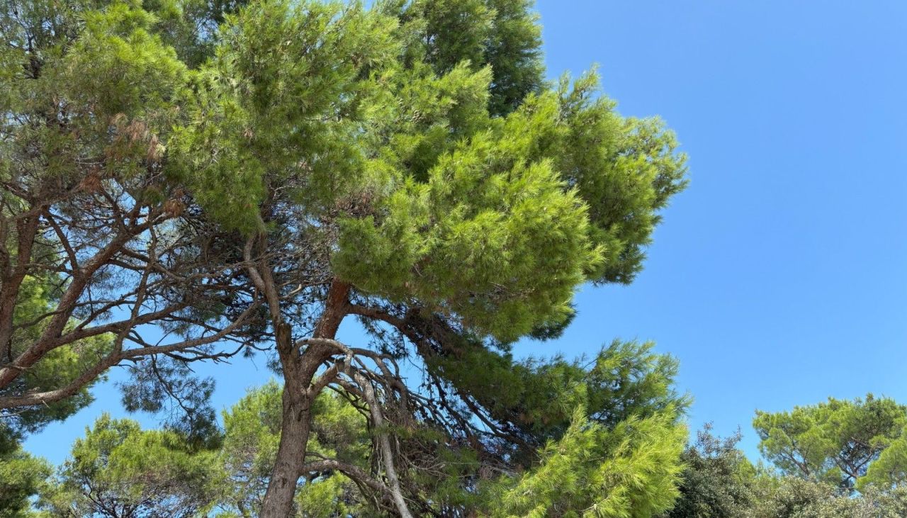 Квартира в Ровини, Хорватия, 149.5 м² - фото 9