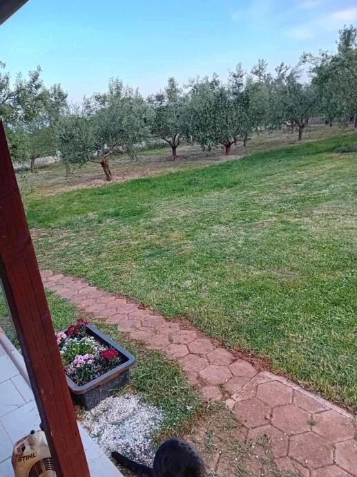 Дом в Марчане, Хорватия, 76 м² - фото 9