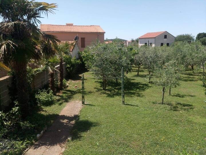 Дом в Медулине, Хорватия, 315 м² - фото 12