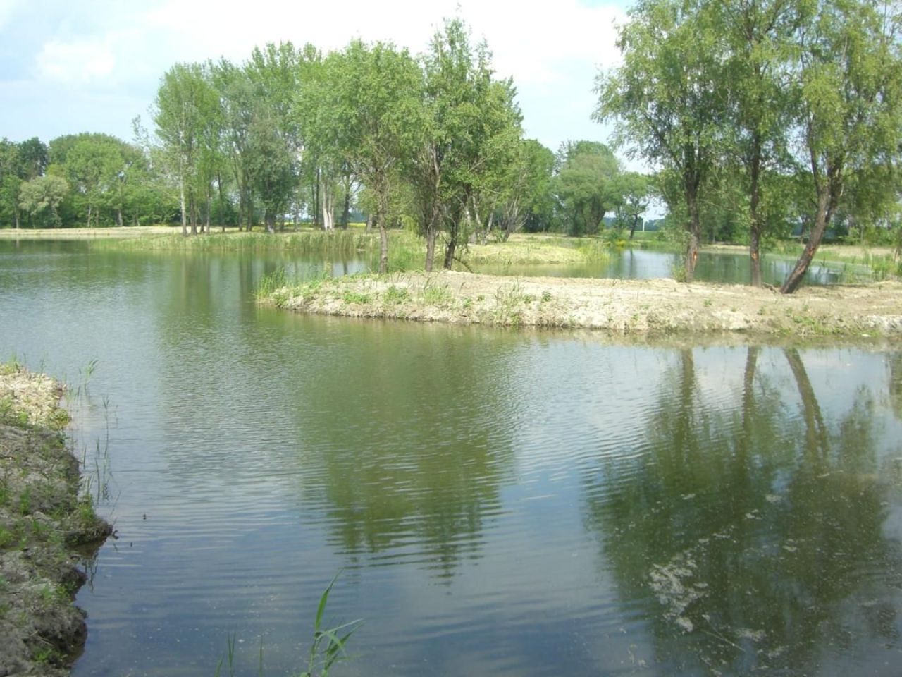 Отель, гостиница Osli, Венгрия, 225 м² - фото 1