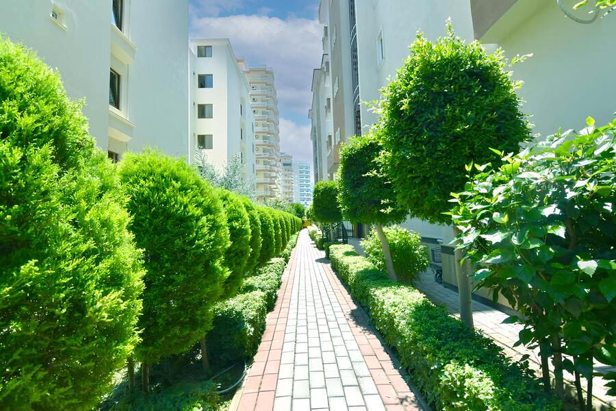 Квартира в Алании, Турция, 60 м² - фото 3