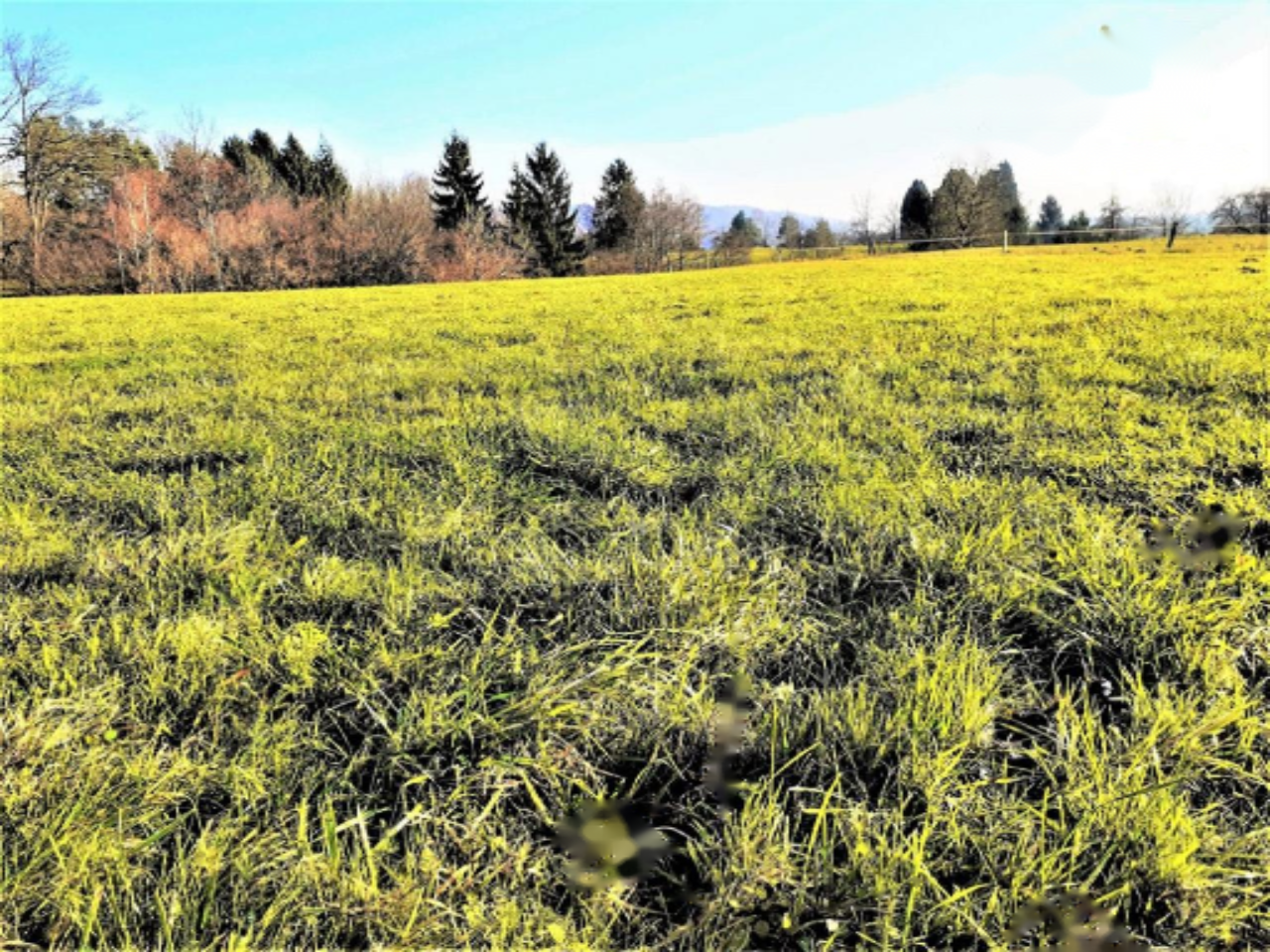 Земля в Любляне, Словения, 3 338 м² - фото 2