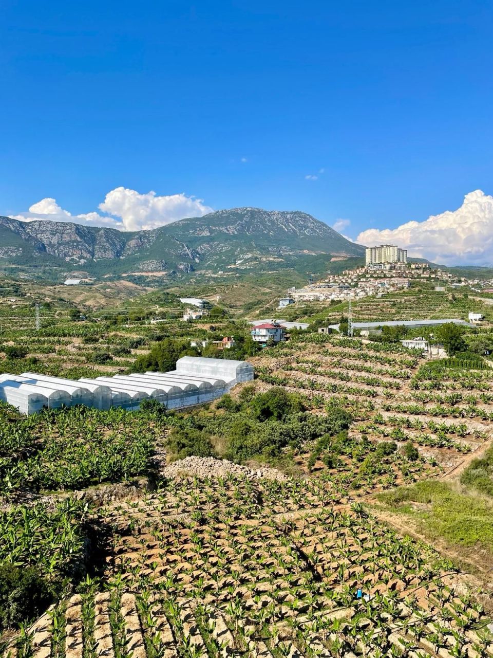 Апартаменты в Алании, Турция, 50 м² - фото 5