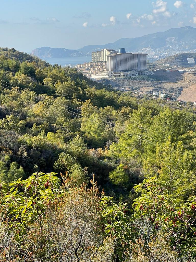 Земля в Алании, Турция, 1 000 м² - фото 1