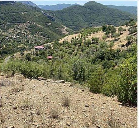 Земля в Алании, Турция, 10 221 м² - фото 1