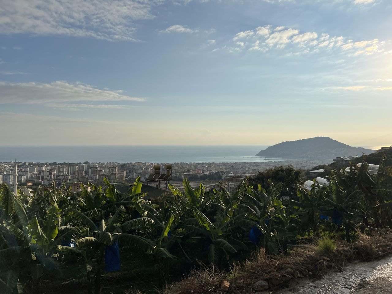 Земля в Алании, Турция, 2 180 м² - фото 1