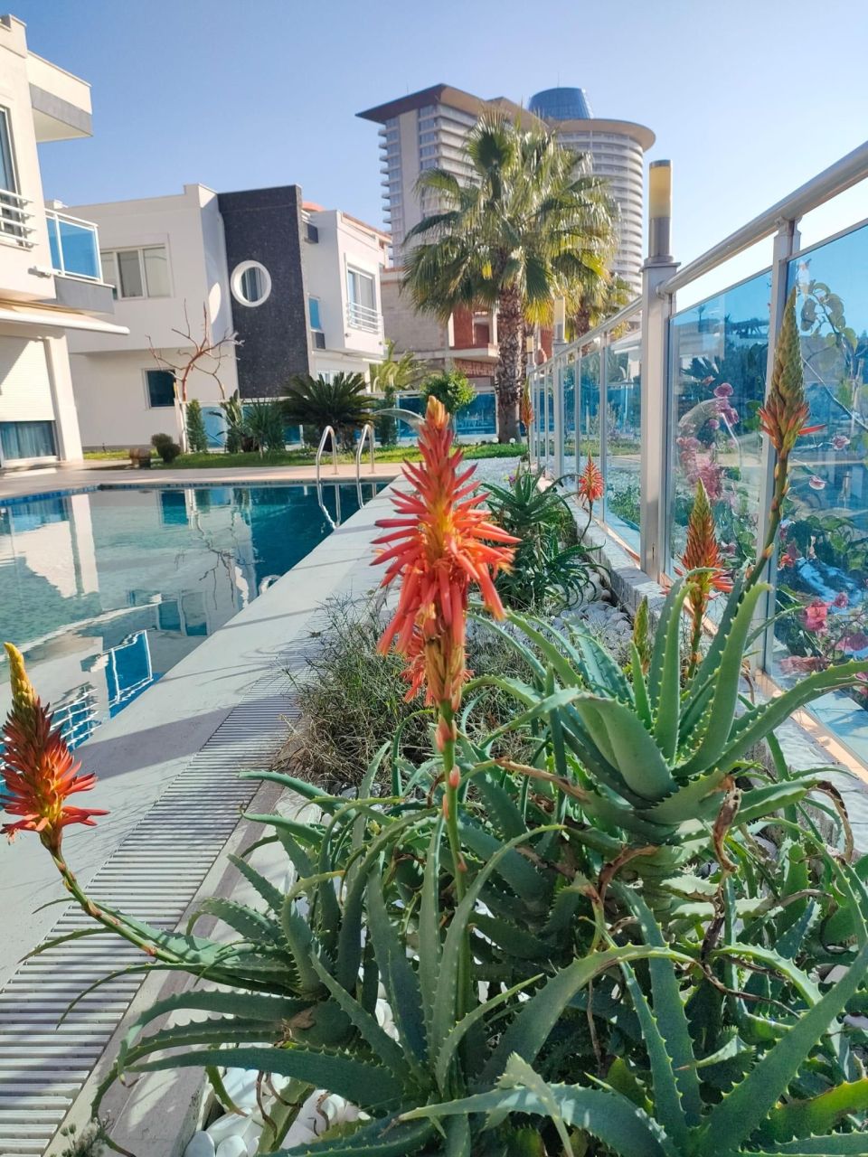 Вилла в Алании, Турция, 190 м² - фото 2