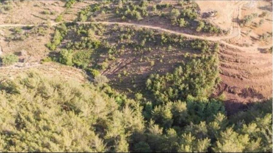 Земля в Алании, Турция, 9 927 м² - фото 2