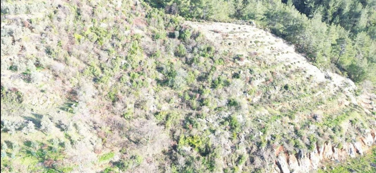 Земля в Алании, Турция, 6 300 м² - фото 2