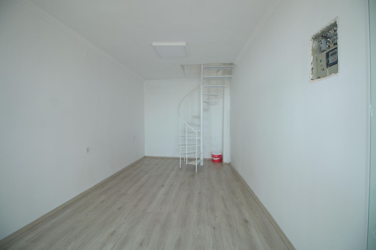 Коммерческая недвижимость в Алании, Турция, 35 м² - фото 2