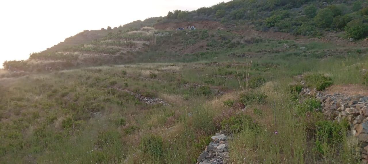 Земля в Алании, Турция, 817 м² - фото 2