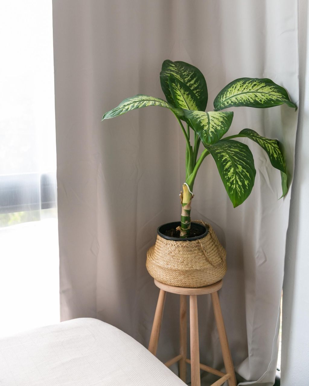 Квартира в Алании, Турция, 35 м² - фото 2