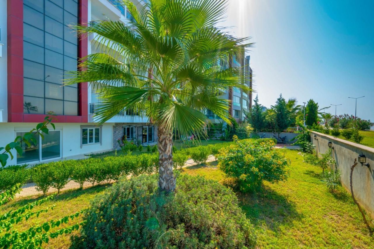 Пентхаус в Кестеле, Турция, 250 м² - фото 2