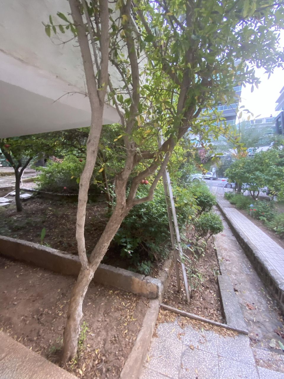 Вилла в Алании, Турция, 178 м² - фото 2