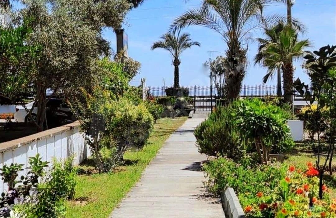 Квартира в Конаклы, Турция, 75 м² - фото 2