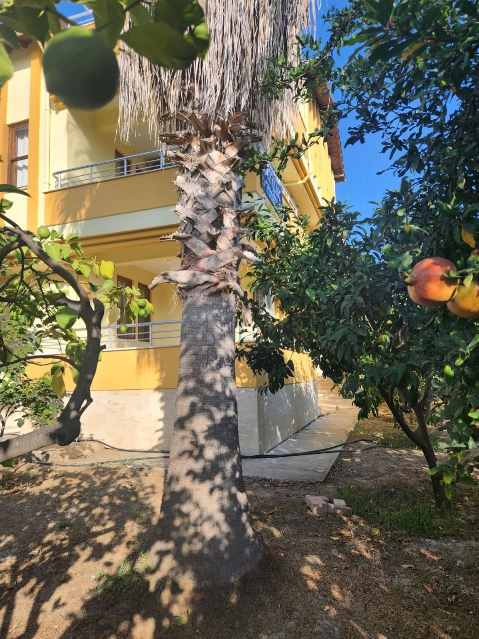 Вилла в Инжекуме, Турция, 370 м² - фото 3