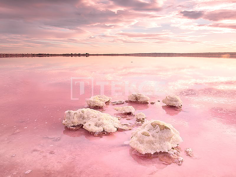 Апартаменты в Торревьехе, Испания, 59 м² - фото 12