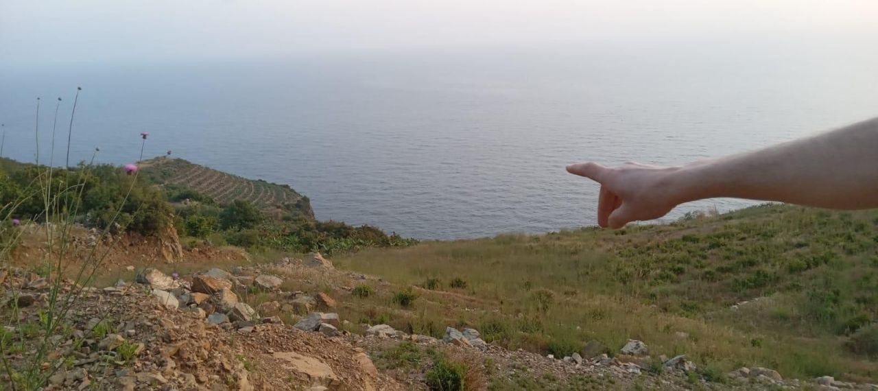 Земля в Алании, Турция, 817 м² - фото 3