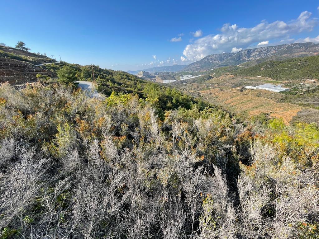 Земля в Алании, Турция, 1 000 м² - фото 3