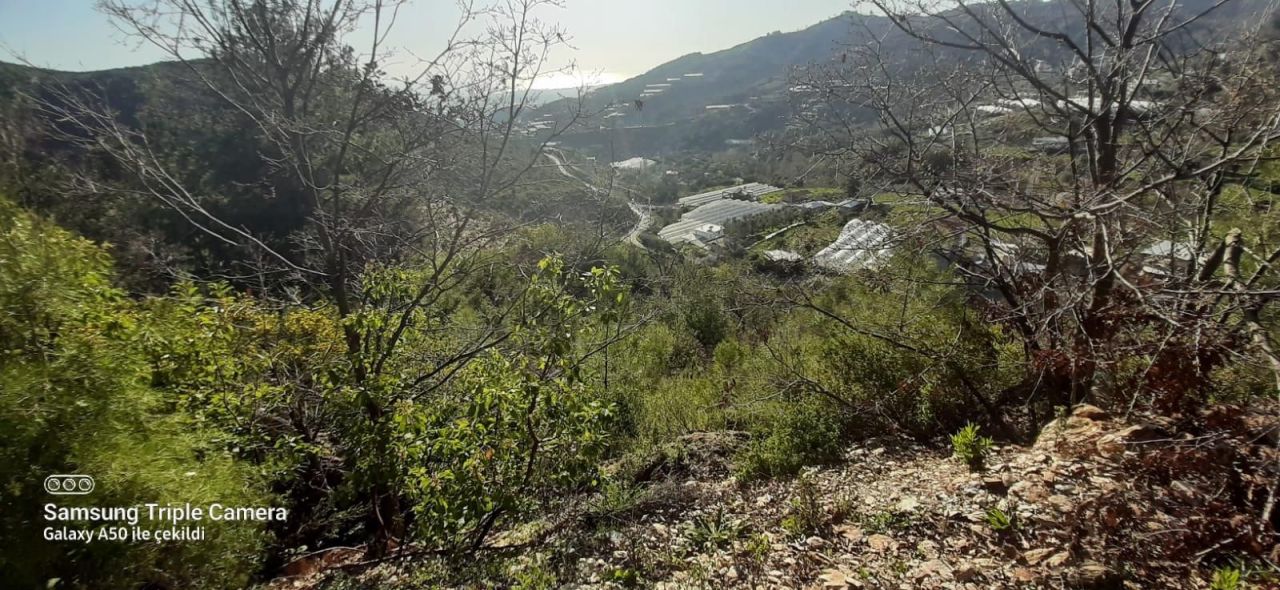 Земля в Алании, Турция, 6 300 м² - фото 3