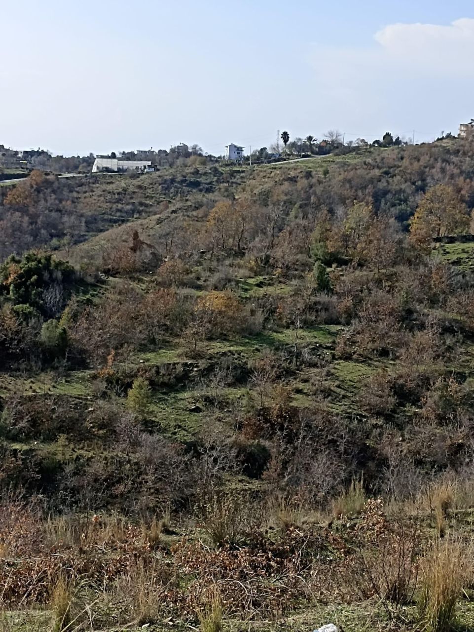 Земля в Алании, Турция, 800 м² - фото 3