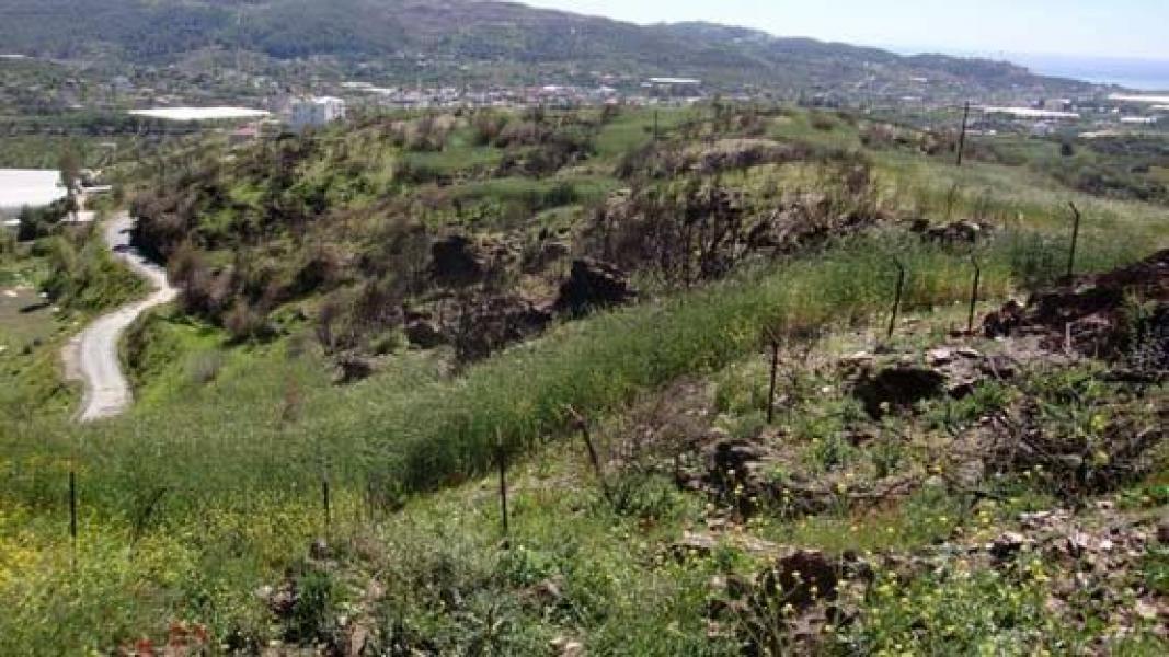 Земля в Алании, Турция, 15 000 м² - фото 3